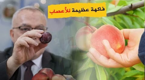 فاكهة محتواها عظيم تمنح جسمك أهم المعادن والفيتامنيات ومهمة جدا لتقوية الاعصاب ومفيدة جدا للقولون