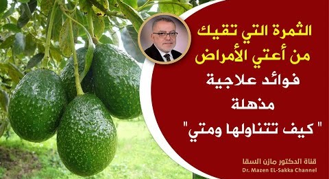 فوائد سوف تبهرك هل تعلم ماذايحدث لجسمك عند أكل الافوكادو فوائدتناول حبة أفوكادو واحدة يومي المدة شهر