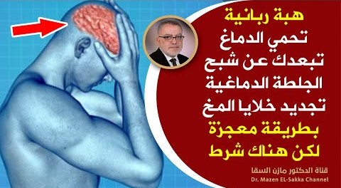 انظركيف يؤثرالطعام الذي تتناوله على دماغك هبات عظيمة تُحيي خلايا الدماغ تمدالمخ بالطاقة تجدد الخلايا