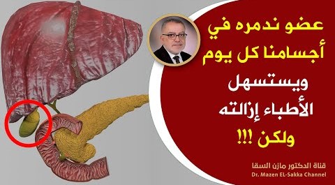 عضو ندمره في أجسامنا كل يوم ويستسهل الأطباء إزالته لكنه كنزلايقدربثمن نهديك اليوم هدية للمحافظة عليه