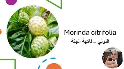 كيف يساعدك النوني في محاربة فيروس جدري القردة وتقوية جهاز المناعة ؟