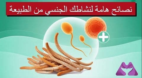 الفطر الصيني الخارق الذي يعالج الخصوبة بشكل مذهل ويعيد توازن الهرمونات طبيعيا - حلـ7قة