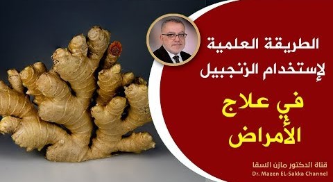 أفضل طريقة لتناول الزنجبيل والاستفادة القصوى من فوائده فوائد الزنجبيل مع د. مازن السقا