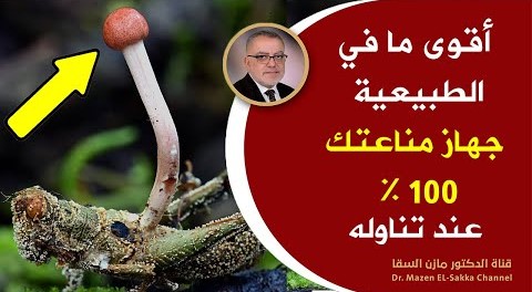 هبة ربانية طبيعية تحمي جهاز المناعة وتنظف الجسم من السموم وتحسن من صحة الدماغ وتقوي العظام والمفاصل
