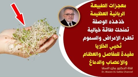 معجزات الطبيعة البربانية عظام قوية مفاصل سلمية لتقوية الاعصاب تطرد البرد الخمول تعالج السعال والبلغم
