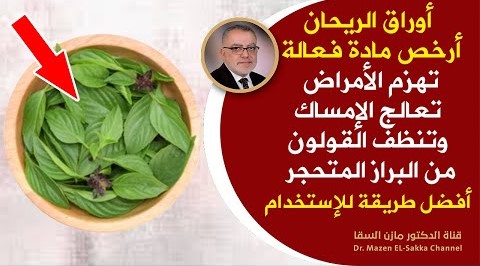 مصيبة أن تحرم نفسك منه الريحان كنز رباني أرخص مادة فعالة تهزم الأمراض الطريقة الصحيحة للإستفاده منه