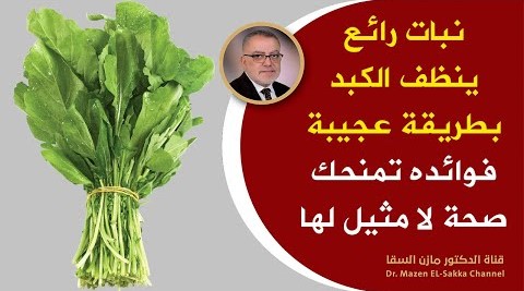 نبات من خيرات الأرض يوفر مادة عظيمة تزيل السموم من خلايا الكبد كوب واحد منه ينظف الكبد والجسم بسرعة