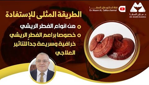 الفطر الريشي |كيف تختار وتستخدم الريشي بشكل صحيح؟ | الحلقة 7