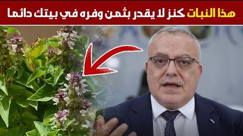 شهية ضعيفة وصداع مستمر ونحافة في الجسم واسهال متقطع انتبه لهذا الأمر قبل أن تبحث عن أي علاج أيا كان