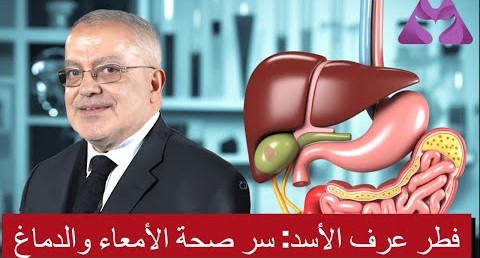 فطر عرف الأسد: سر صحة الأمعاء والدماغ! | الحلقة 4