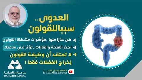 القولون|هل القولون مهم؟ إليك الإجابة العلمية | الحلقة 2