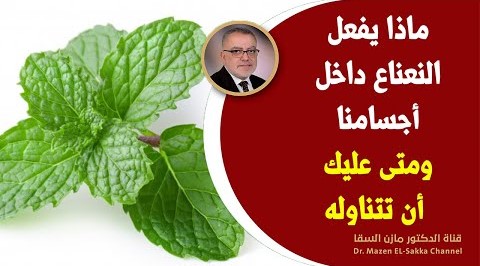 ماذا يحدث عندما تشرب الماء بالنعناع؟ اشرب ماء النعناع كلّ صباح مدّة 30 يومًا، شاهد ما سيحدث لك