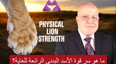 هل يمكنك مطابقة قوة الأسد؟ تجربة صادمة في هذه الحلقة