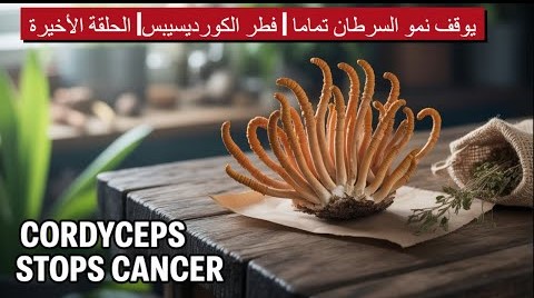 يوقف نمو السرطان تماما | فطر الكورديسيبس | الحلقة 8 والأخيرة