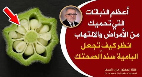 اكلات رمضانية أهم وجبة في أي نظام غذائى صحى الطريقة الصحيحة لطهي البامية وتعزيز فوائدها | رمضان 2023