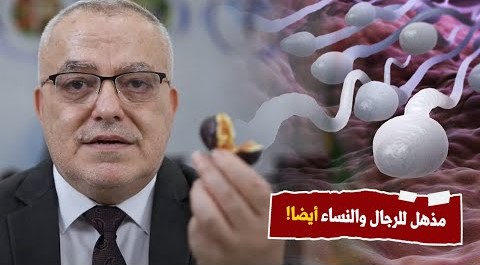 هبة ربانية عظيمة مذكورة في القرآن الكريم هو اقوى علاج لزيادة الحيوان المنوي ومفيد للرجال والنساء !