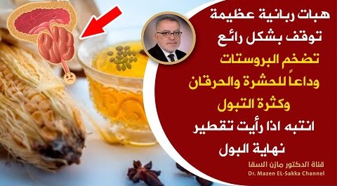 هبات ربانية توقف تضخم البروستاتا وتوفرعذاب السنين هذا السر لوعرفته لن تصاب بتضخم البروستات طول حياتك